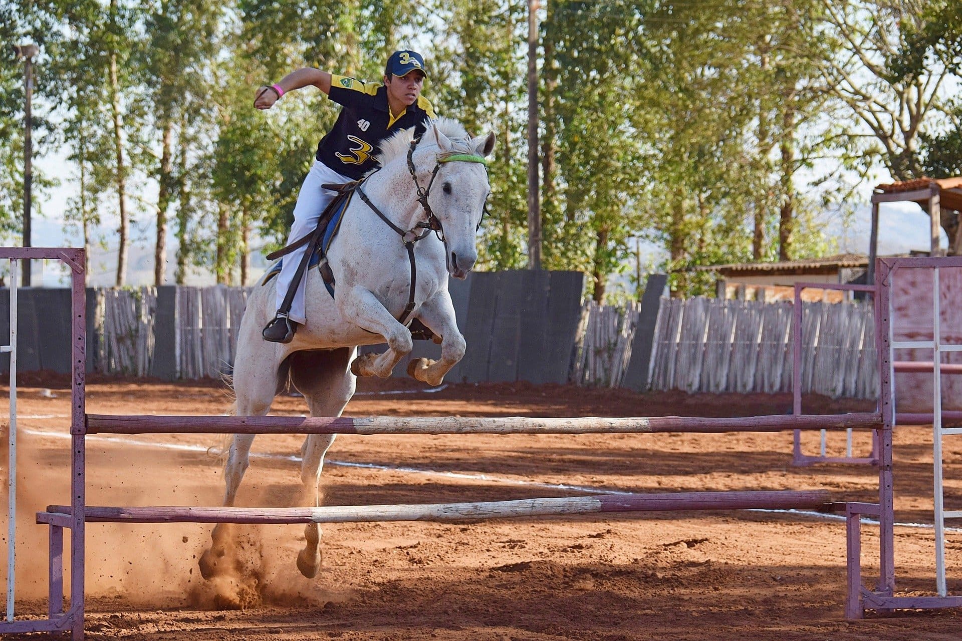 Formation BPJEPS Equitation