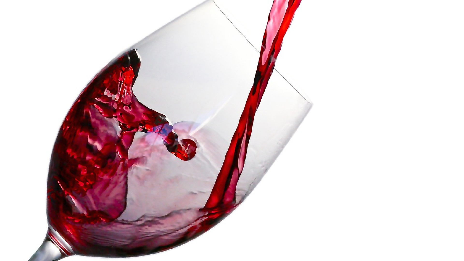 Pourquoi travailler dans le milieu du vin ?